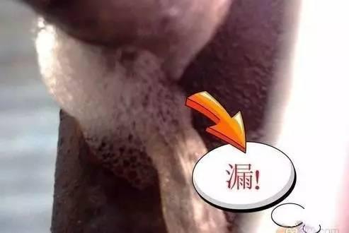 165451139.jpg 11-11.jpg